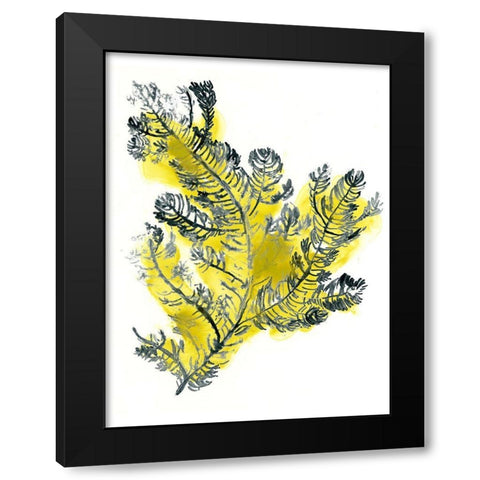 Citron Sea Kelp IV Black Modern Wood Framed Art Print by Vess, June Erica