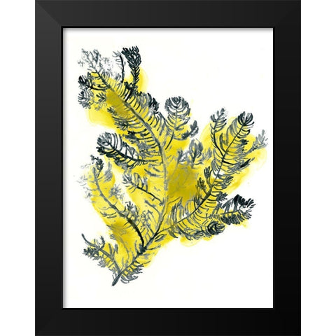 Citron Sea Kelp IV Black Modern Wood Framed Art Print by Vess, June Erica