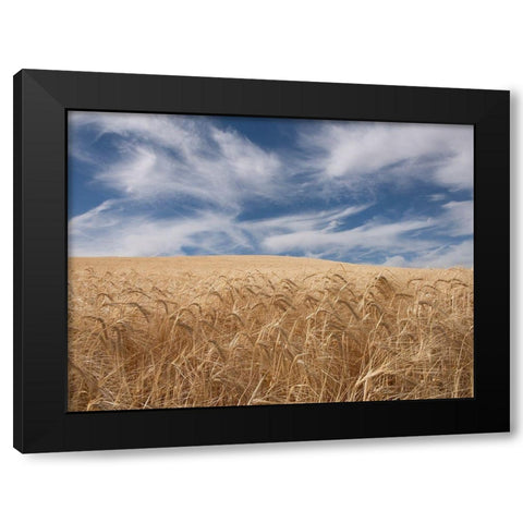 Farm and Field II Black Modern Wood Framed Art Print by PHBurchett