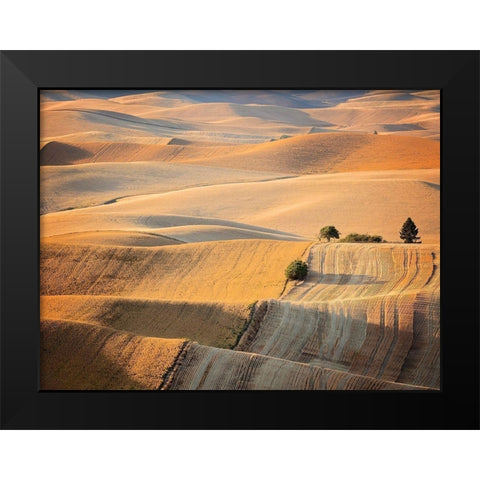 Farm and Field III Black Modern Wood Framed Art Print by PHBurchett