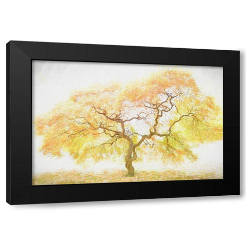Golden Tree Black Modern Wood Framed Art Print with Double Matting by PHBurchett