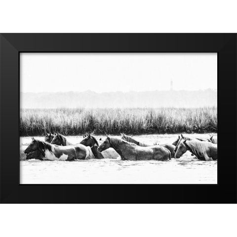 Water Horses III Black Modern Wood Framed Art Print by PHBurchett