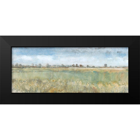 Open Field II Black Modern Wood Framed Art Print by OToole, Tim