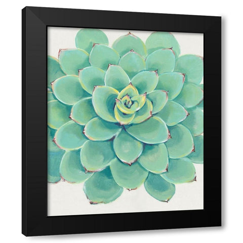 Pastel Succulent III Black Modern Wood Framed Art Print with Double Matting by OToole, Tim