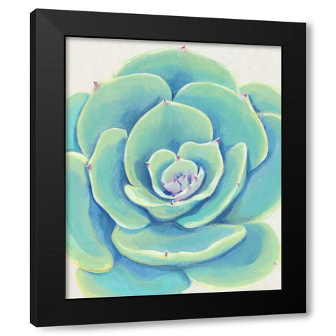 Pastel Succulent IV Black Modern Wood Framed Art Print with Double Matting by OToole, Tim