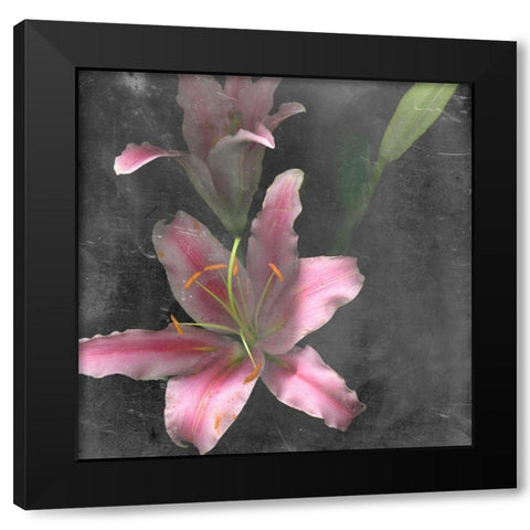 Fleur de Lys I Black Modern Wood Framed Art Print with Double Matting by Ludwig, Alicia