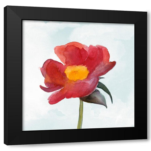 Joyful Peony I Black Modern Wood Framed Art Print with Double Matting by Ludwig, Alicia