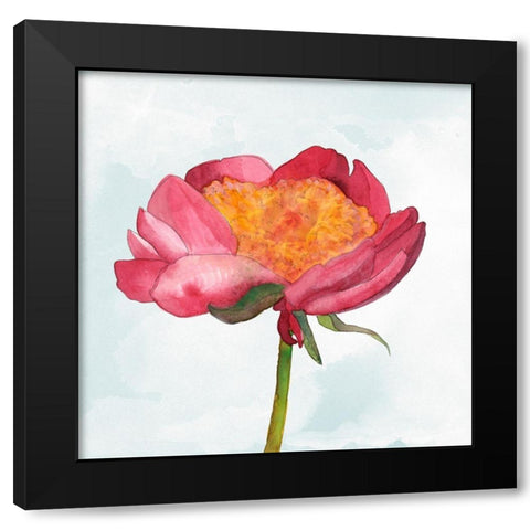 Joyful Peony II Black Modern Wood Framed Art Print with Double Matting by Ludwig, Alicia
