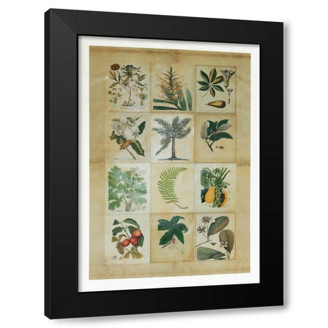 Botanical Sampler I Black Modern Wood Framed Art Print with Double Matting by Vision Studio