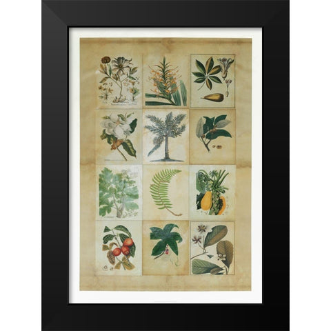 Botanical Sampler I Black Modern Wood Framed Art Print by Vision Studio