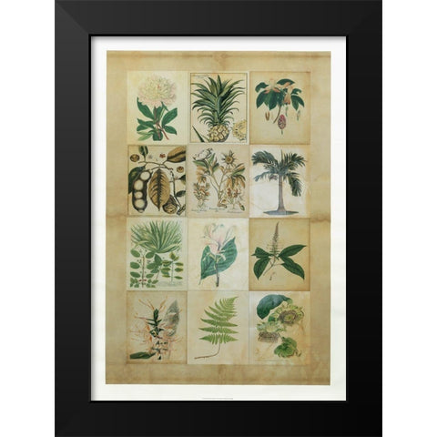 Botanical Sampler II Black Modern Wood Framed Art Print by Vision Studio