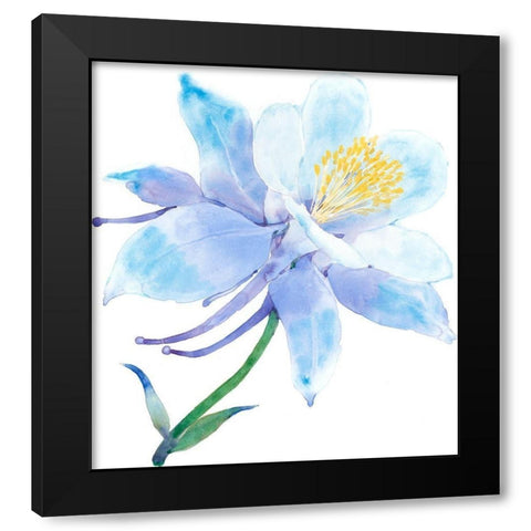 Columbine Bloom I Black Modern Wood Framed Art Print by Tim OToole