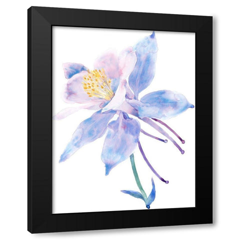 Columbine Bloom II Black Modern Wood Framed Art Print with Double Matting by Tim OToole