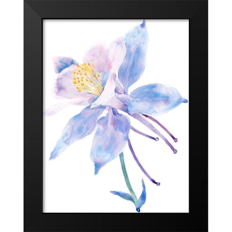 Columbine Bloom II Black Modern Wood Framed Art Print by Tim OToole