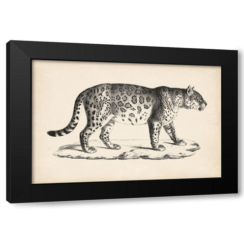 Brodtmann Male Leopard Black Modern Wood Framed Art Print with Double Matting by Brodtmann