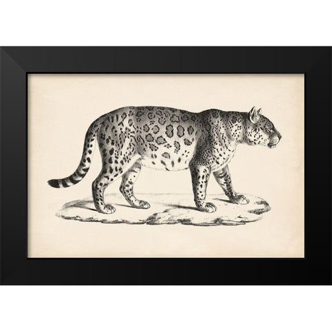 Brodtmann Male Leopard Black Modern Wood Framed Art Print by Brodtmann