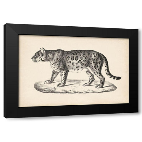 Brodtmann Female Leopard Black Modern Wood Framed Art Print by Brodtmann