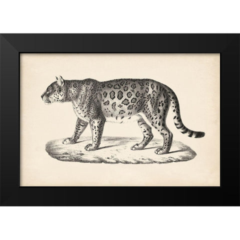 Brodtmann Female Leopard Black Modern Wood Framed Art Print by Brodtmann