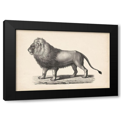 Brodtmann Lion Black Modern Wood Framed Art Print by Brodtmann