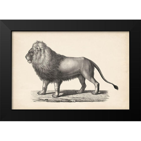 Brodtmann Lion Black Modern Wood Framed Art Print by Brodtmann