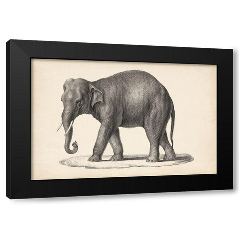 Brodtmann Elephant Black Modern Wood Framed Art Print by Brodtmann