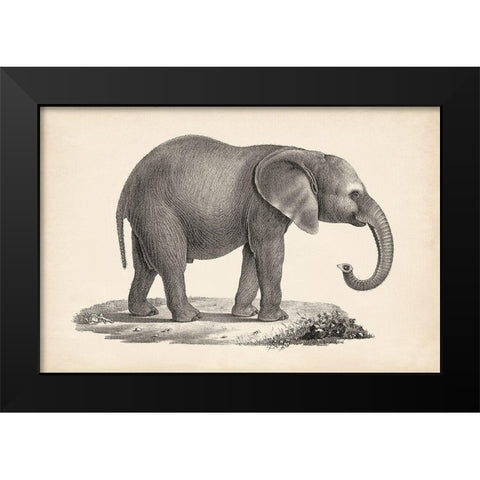 Brodtmann Young Elephant Black Modern Wood Framed Art Print by Brodtmann