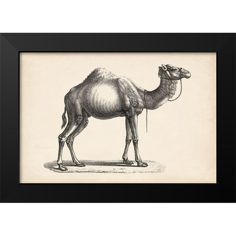 Brodtmann Dromedary Black Modern Wood Framed Art Print by Brodtmann