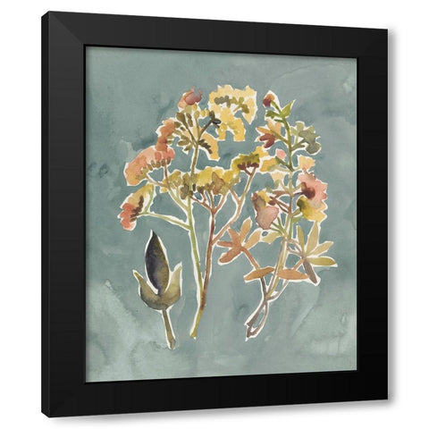 Collected Florals IV Black Modern Wood Framed Art Print with Double Matting by Zarris, Chariklia