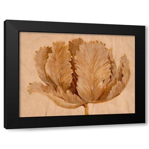 Sepia Tulip on Birch II Black Modern Wood Framed Art Print by OToole, Tim
