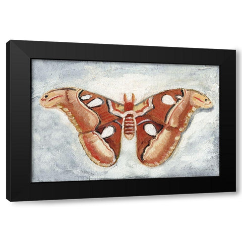 Papillon de Nuit I Black Modern Wood Framed Art Print by Ludwig, Alicia