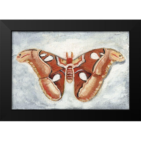 Papillon de Nuit I Black Modern Wood Framed Art Print by Ludwig, Alicia