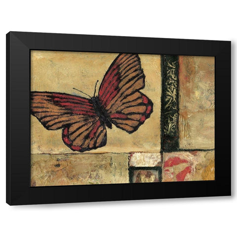 Butterfly in Border I Black Modern Wood Framed Art Print by Bagnato, Judi