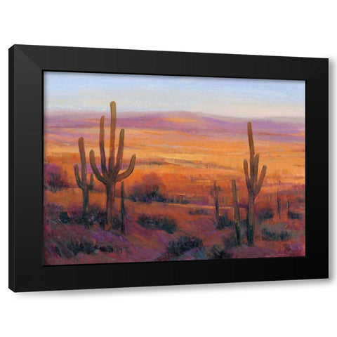 Desert Light II Black Modern Wood Framed Art Print with Double Matting by OToole, Tim