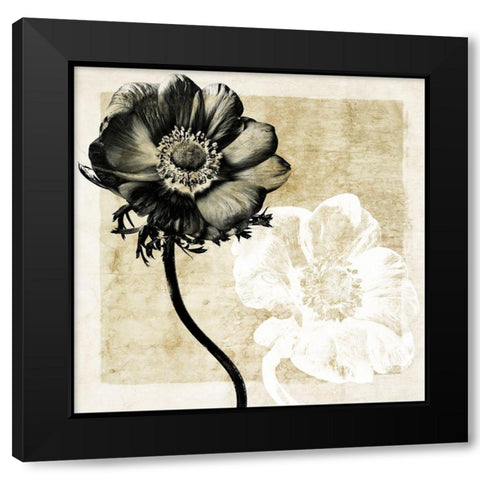 Light From Darkness II Black Modern Wood Framed Art Print with Double Matting by Zalewski, Christine