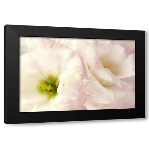 Pink Blossoms I Black Modern Wood Framed Art Print by Zalewski, Christine