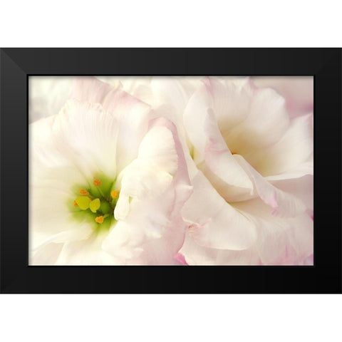Pink Blossoms I Black Modern Wood Framed Art Print by Zalewski, Christine