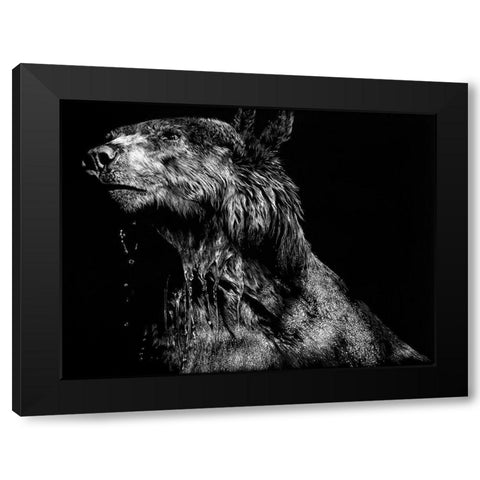 Ursa Major Black Modern Wood Framed Art Print with Double Matting by Chapman, Julie T.