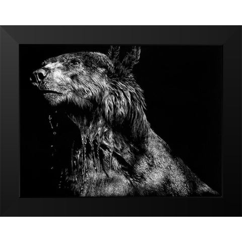 Ursa Major Black Modern Wood Framed Art Print by Chapman, Julie T.
