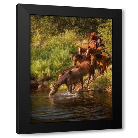 River Horses I Black Modern Wood Framed Art Print with Double Matting by PHBurchett