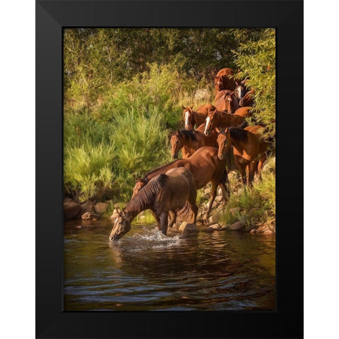 River Horses I Black Modern Wood Framed Art Print by PHBurchett