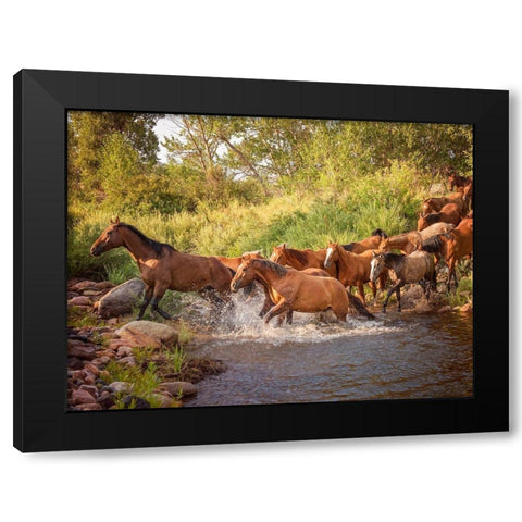River Horses II Black Modern Wood Framed Art Print with Double Matting by PHBurchett