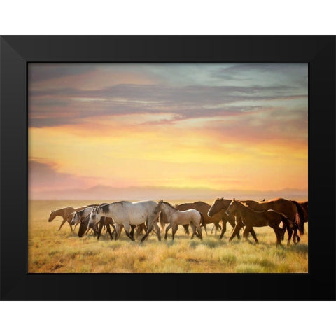 Sunkissed Horses I Black Modern Wood Framed Art Print by PHBurchett