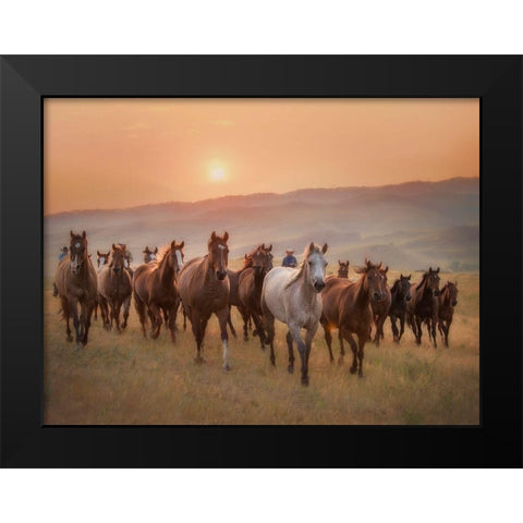 Sunkissed Horses II Black Modern Wood Framed Art Print by PHBurchett