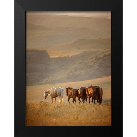 Sunkissed Horses VI Black Modern Wood Framed Art Print by PHBurchett
