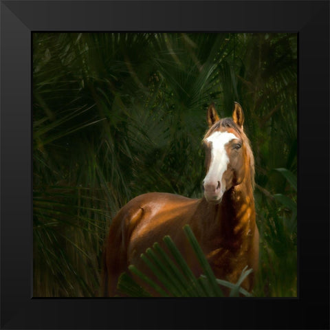 Wild II Black Modern Wood Framed Art Print by PHBurchett