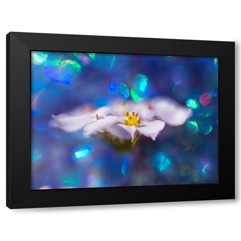 Jewels of the Enchanted Forest VI Black Modern Wood Framed Art Print by Hunt, Gillian