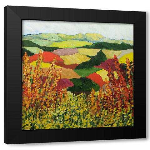 Red Blend Black Modern Wood Framed Art Print with Double Matting by Friedlander, Allan