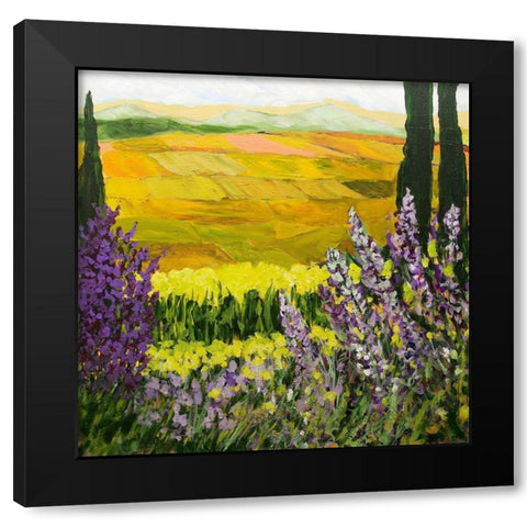 Golden Acres Black Modern Wood Framed Art Print with Double Matting by Friedlander, Allan