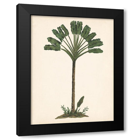 Palm Tree Study I Black Modern Wood Framed Art Print with Double Matting by Wang, Melissa