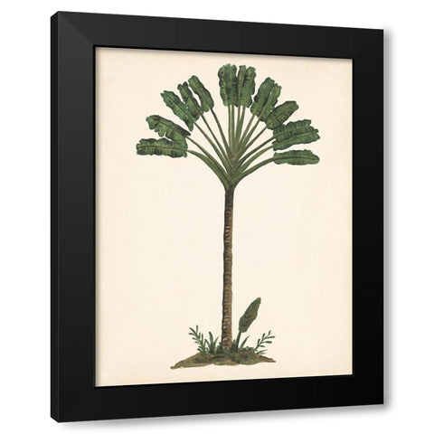 Palm Tree Study I Black Modern Wood Framed Art Print by Wang, Melissa